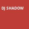 DJ Shadow, Rialto Theater, Tucson